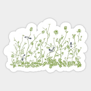 Queen Anne Lace Sticker